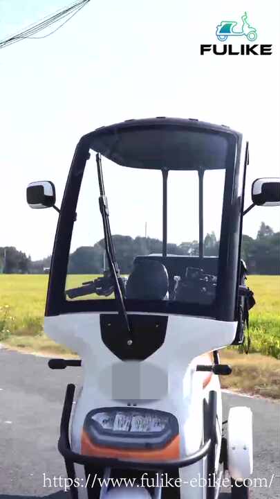 2024年式 電動3輪スクーター ダブルモーター オープンボディ 大人用