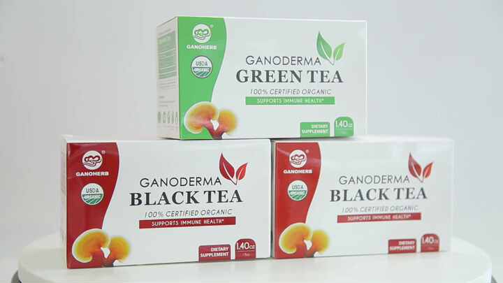 reishi green tea with ganoderma and l carnitine GANOHERB Wholesale Reishi Mushroom Green Tea with Ganoderma Lucidum Extract  OEM Herbal Tea for Bulk Supply