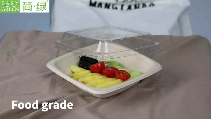 EG Series 16oz Disposable Sugarcane Fresh Fruit Salad Container Bowl with  Lid