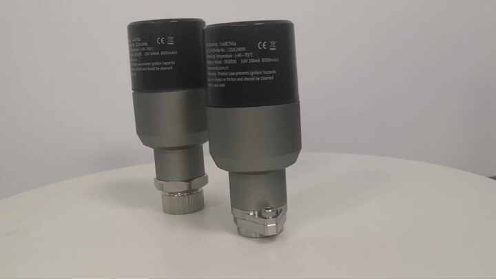 Wireless Vibration Sensor for Motor Condition Monitoring