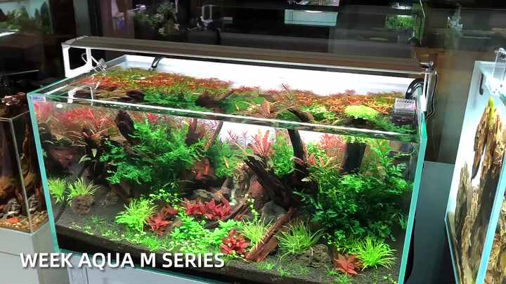 WEEK AQUA Mシリーズ LED水草育成ライト Sunsun UV RGB フルスペクトル