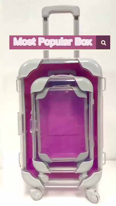 Mini Suitcase Gift Box Popular Packaging for Eyelash Extensions
