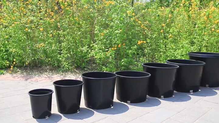 Ronbo Sunrise Factory Price Round Plastic Plant Pots Wholesale Plastic  Plant Pots 2 Gallon Black Nursery Pots