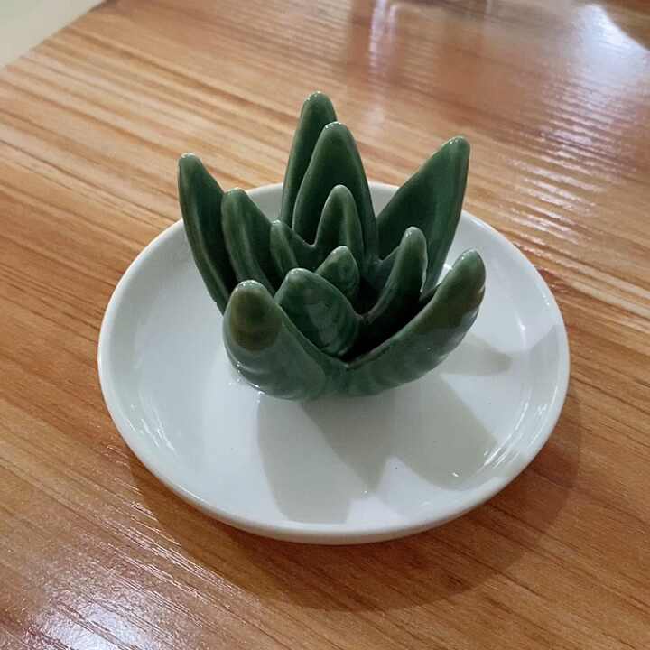 Charming Ceramic Cactus Ring Holder: a Delightful Jewelry Dish for  Birthdays, Weddings, Anniversaries, and More