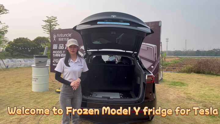 Tesla 3Y Fridge Frunk Cooler 12 Volt Car Refrigerators