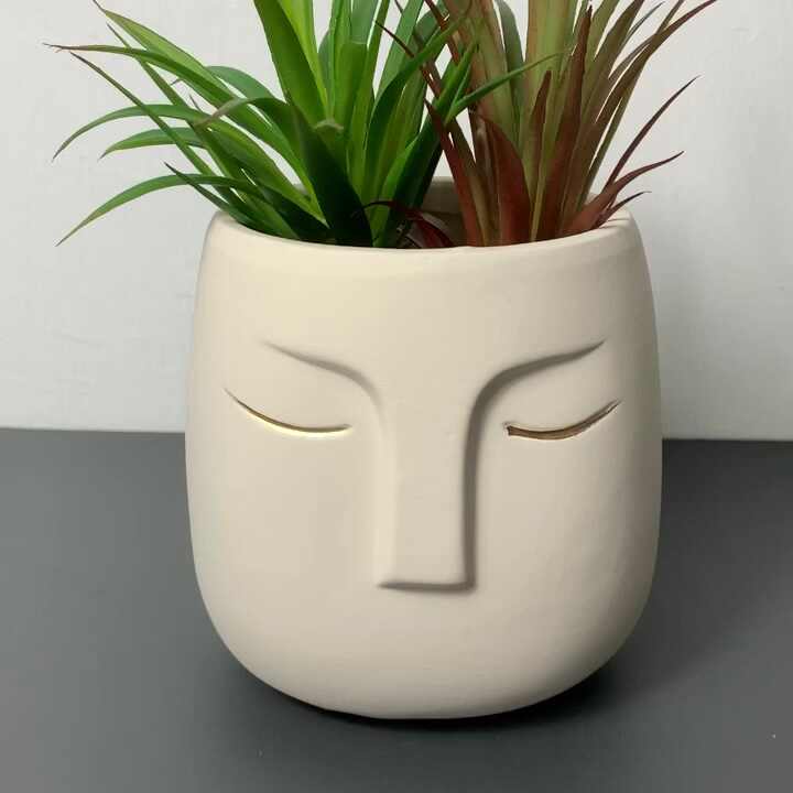 air plants holders Geometric faceted wall mounted air plant holder