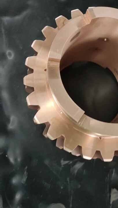 Ingranaggi Verme In Acciaio Inossidabile Forgiato | SS Worm Cogwheels - Foto 3
