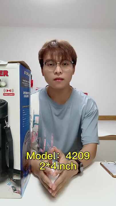 音狐 10個 ZQS-4209 Portable Double 4 Inch Horn Subwoofer Speaker with Remote