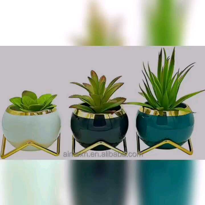 Wholesale Creative Mini Ceramic Succulent Indoor Planters Modern Small  Bonsai Plant Pots for Desk Table