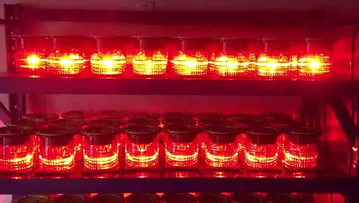 LED Solar Powered Aircraft Warning Light - L810 Obstruction