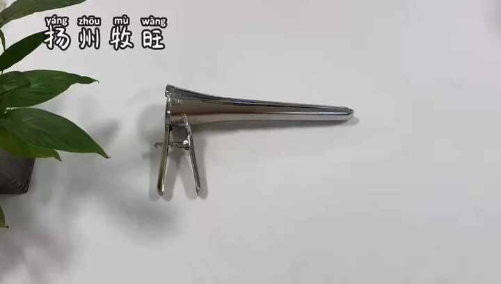 Dilatateur vaginal vache bovin ouvre spéculum vaginal