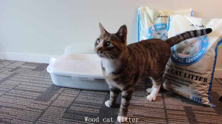 Factory Supply Home Heating Cat Litter 6mm Pine/Beech Wood Pellets