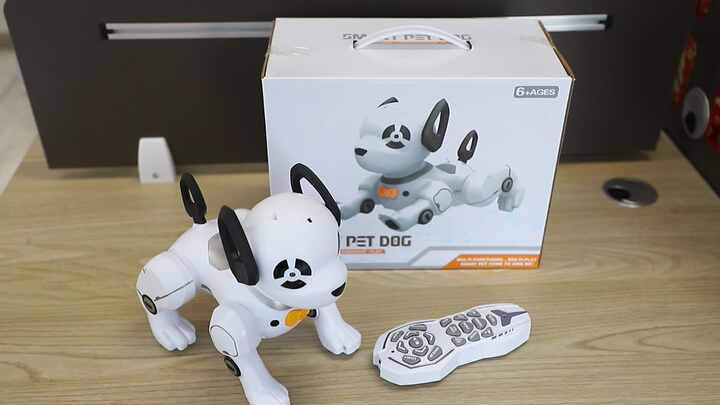 Smart RC Robot Dog Companion for Kids Educational Fun