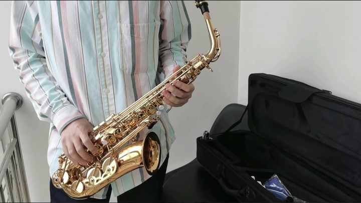 リグナトーン(チェコスロバキア製) 総真鍮スーザフォン B - 880 リグナトーン(チェコスロバキア製) 総真鍮スーザフォン B - 880