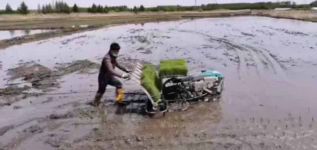 歩行型手押し田植機 4条植え| Alibaba.com
