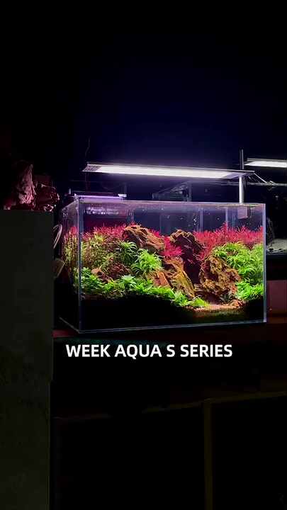 WEEKAQUA S450 Pro LED Full Spectrum Light for Freshwater Nano