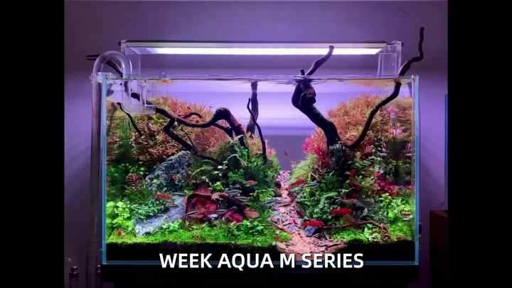 Wholesale Aquarium Products - WEEK AQUA M450K Pro APP