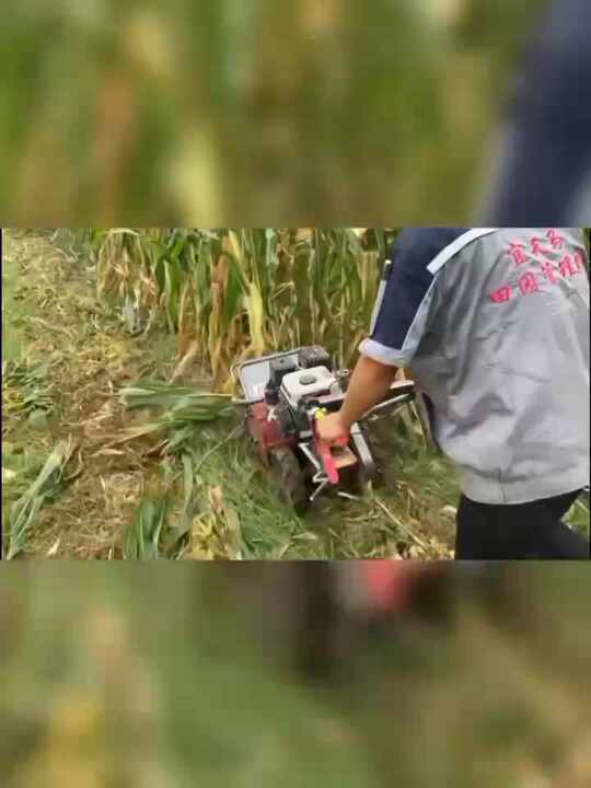 Garden Easy Weeding Mini Hand Agriculture Weeding Machine Pastoral ...