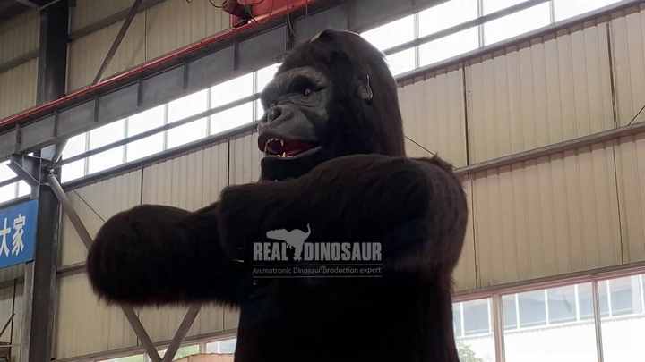 ゴリラ shoptukiusagi_p-6767