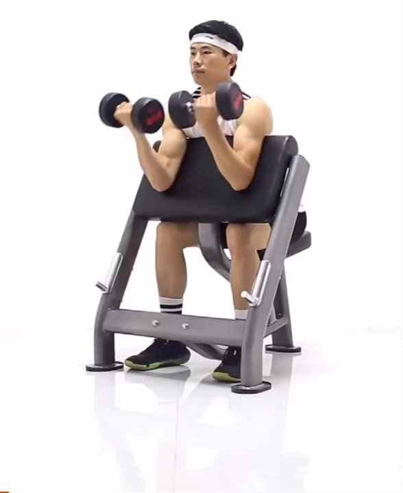 調整可能なプレッチャーカールベンチ｜バイセップストレーニング用