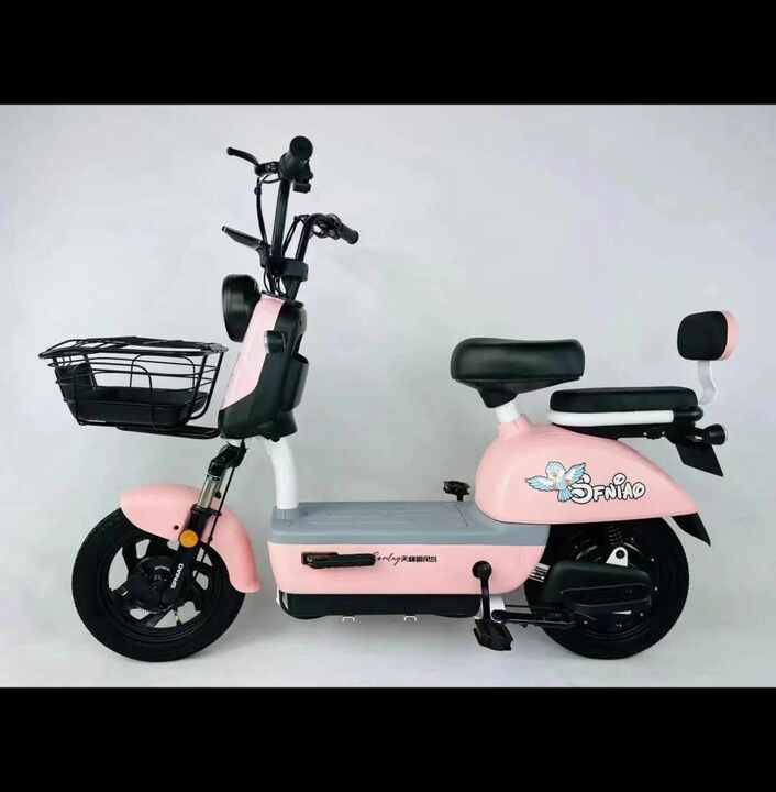 Cheap City Electric Folding Bicycle MINI Ebike 250 Watt Brushless
