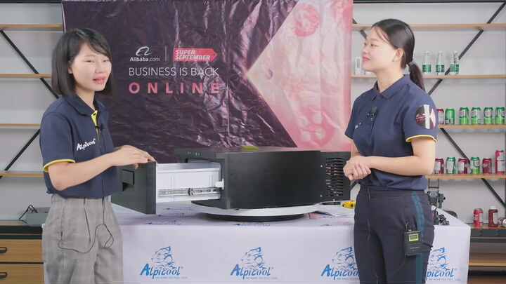 Alpicool D30 Mini Drawer Fridge 30L, 12V/24V Portable Refrigerator