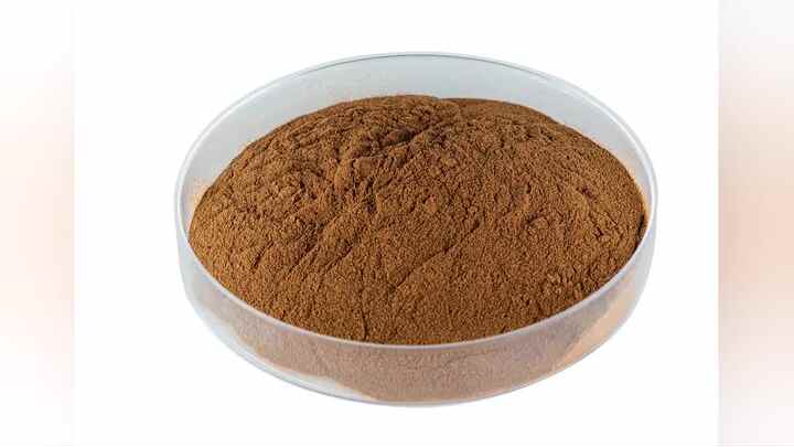 factory supply green lipped mussel extract nz green lipped
