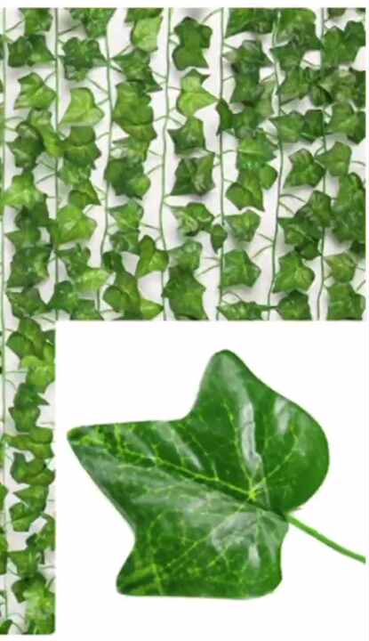 best plant food indoor plants Premium Liquid SUCCULENT Plant Fertilizer - 3-1-2 Concentrate for Indoor Plants and Flowers by Gardenera | Organic Plant Food for SUCCULENTS