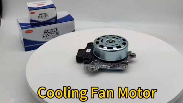 High Quality Auto Parts Cooling Fan Motor for Toyota & Lexus