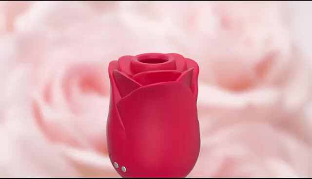 AMAZON Hot Spring Rose Tongue Licking Vibrator Vagina Nipple Sucker Oral  Sex Toys Sucking Stimulate Adult Masturbation Products