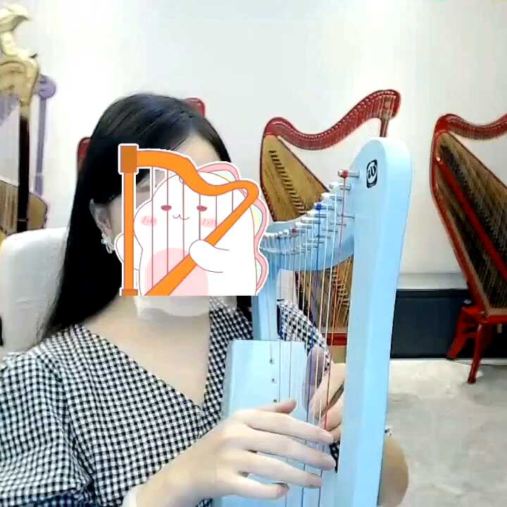 Walter 2025 Newest Fashion 19 String Lyre Harp with Free Bag