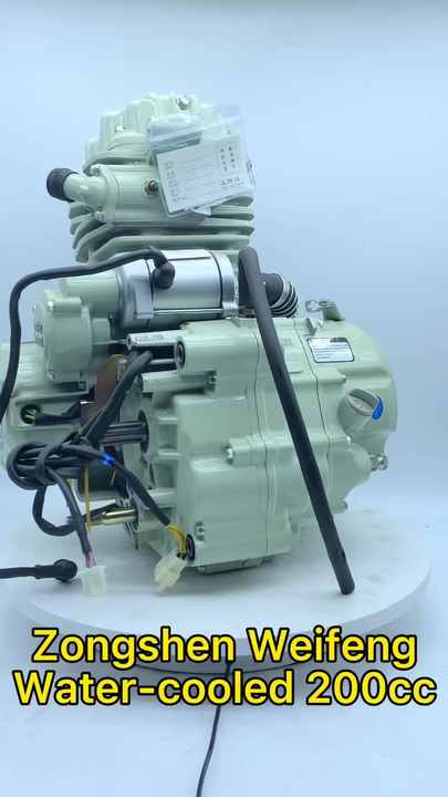 Zs163ml 200cc Water-cooled Four Stroke Tricycle Motorcycle & Oem