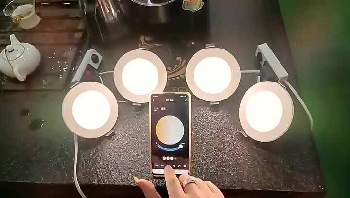 Smart RGB Led Downlight Inch, Inch for Living Room