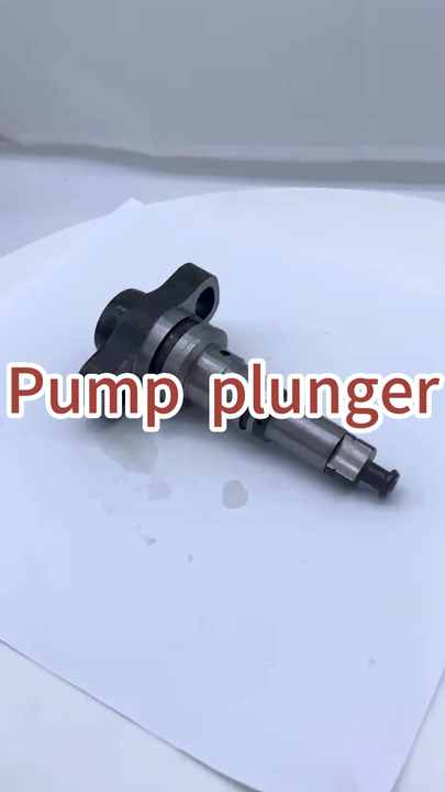 フェルン 2418455134 Diesel Fuel Injection Pump Plunger for Mercedes Benz