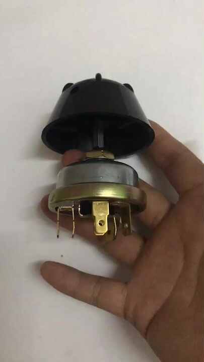 Interruptor pulsador momentáneo de bocina precableado de 19 mm, 12 V-24 Interruptor pulsador momentáneo de bocina precableado de 19 mm, 12 V-24