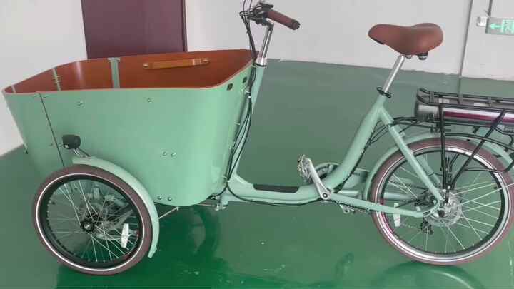 Family Trike Electric Tricycle Cargo Bike Used Bicycle for Sale in Dutch