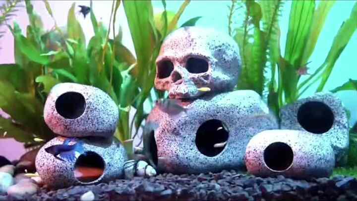best fishing reels for catfishing Top 10 Catfish Reels