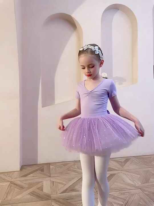 Wholesale High Quality Cute Pink Lilac Long Sleeve 2 Piece Children Ballet  Dresses Kids Girls Ballet Top with Skirt