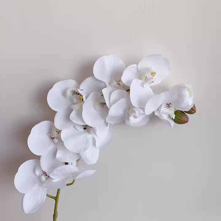 Orchidee Bladeren Kunstmatige Echte Touch