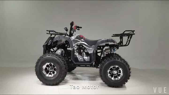 Tao Motor Farm ATV Motorcycle ATV Quad Bike ATV Wheeler Chain Drive for  Sale 110cc 125cc 150cc Automatic Electric Start 125cc