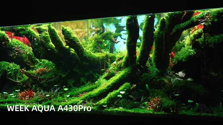 WEEKAQUA ARK RGB ADAソーラーアプリ制御LED水槽ライト（淡水水槽