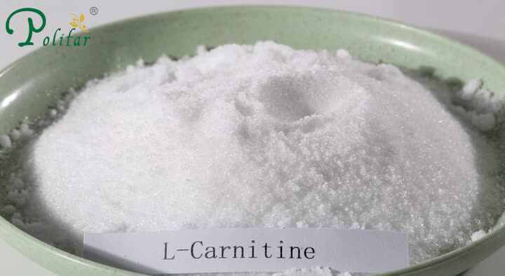 Bulk Sale Price L-carnitine Powder Food Grade Nutrient Supplements L  Carnitine