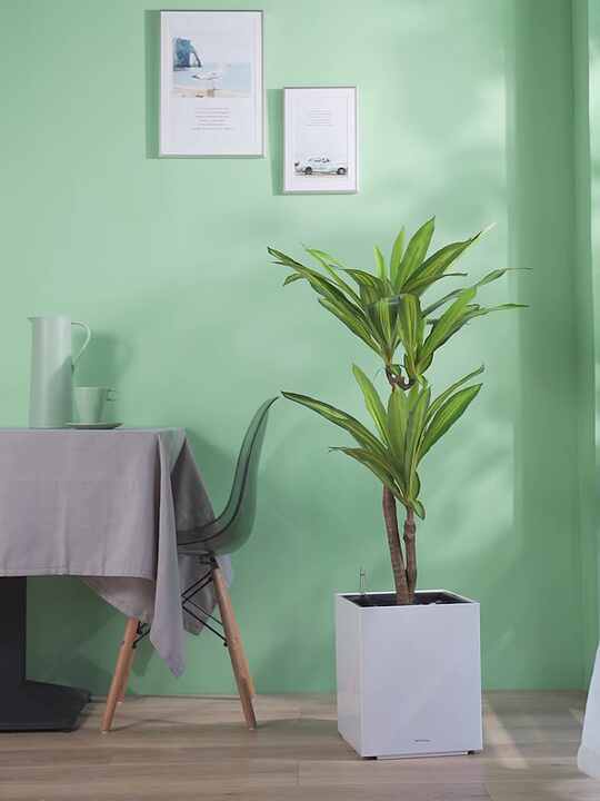 EPFamily Pot De Fleurs Peu Profond En Terre Cuite De 20,3 Cm Avec Plateau En Bambou, Pot De Fleurs En Argile Pour Intérieur Et Extérieur Avec Trou De Drainage, Terre Cuite