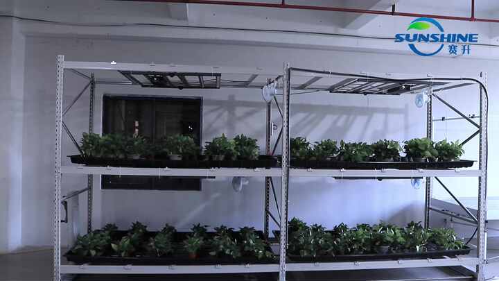 Microgreens Growing System Racks - Hydroponic & Movable
