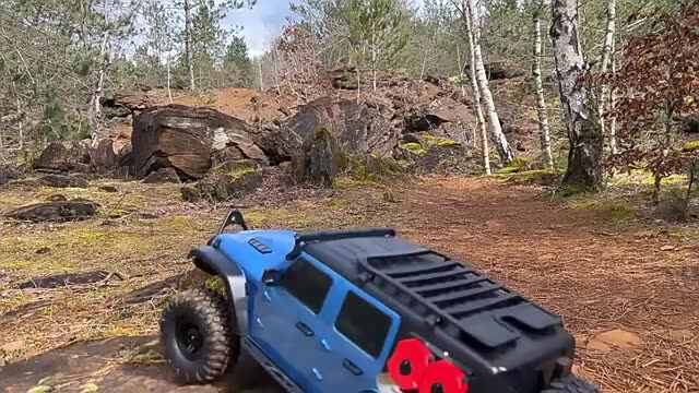 R1011 Wilderness 4WD RC Rock Crawler 1/10 Scale - Electric 4X4 Car