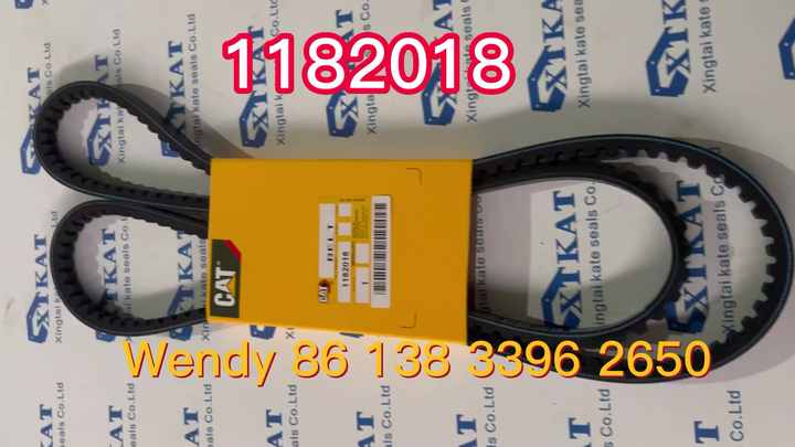 Lain S. Bangdel著 『Nepal』ドイツ語 2990179 Banded - Cogged Belt V-BELT-B for Caterpillar