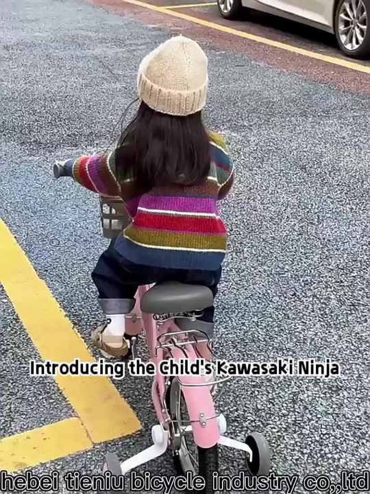 子供のカワサキニンジャH2Rおもちゃサイクル自転車シングルスピード6-8