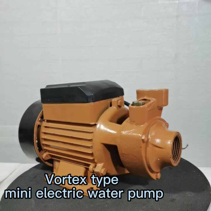 Water Supply Pressurization 220v Durable and Safety Vortex Type Micro Electric Pump Water Supply Pressurization 220v Durable and Safety Vortex Type Micro Electric Pump