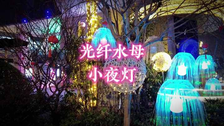 Fashion Fiber Optic Jellyfish Light - Christmas Decoration