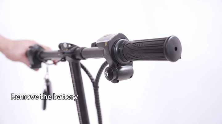 Folding Electric Bike Parts and Accessories Electric Bike 36 Volt